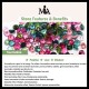 Garnet Tourmaline Butterfly Protection Bracelet Anklet Garnet Tourmaline Butterfly Protection Bracelet Anklet