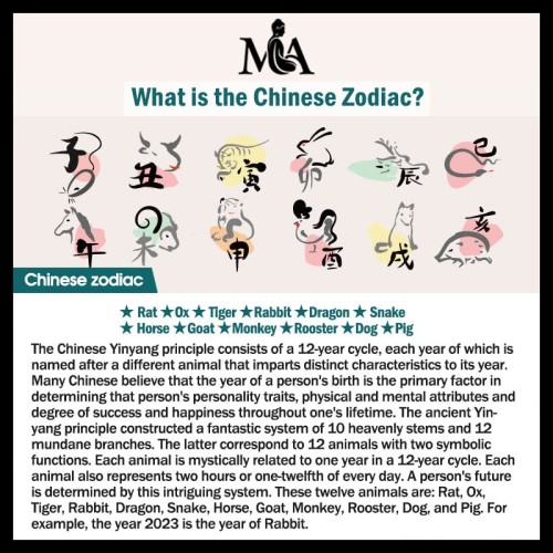 Year of the Dragon Chinese Zodiac Luck Bracelet Year of the Dragon Chinese Zodiac Luck Bracelet