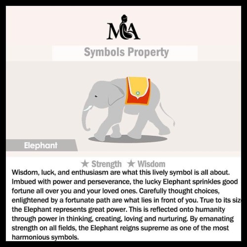 18K Gold Plated Pearl Elephant Zircon Charm Sincerity Bracelet 18K Gold Plated Pearl Elephant Zircon Charm Sincerity Bracelet