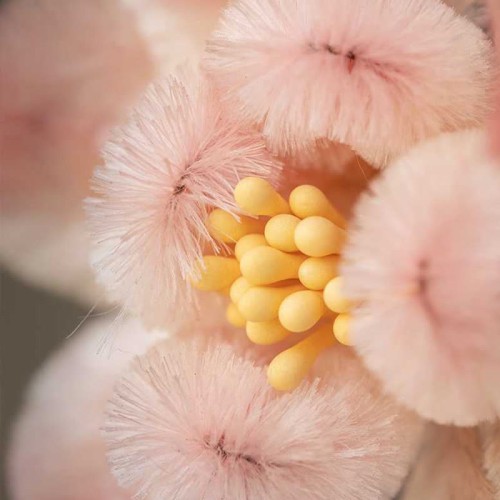 Handmade Yangzhou Velvet Mulberry Silk Peach Blossom Brooch Handmade Yangzhou Velvet Mulberry Silk Peach Blossom Brooch