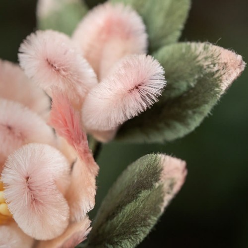 Handmade Yangzhou Velvet Mulberry Silk Peach Blossom Brooch Handmade Yangzhou Velvet Mulberry Silk Peach Blossom Brooch