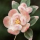 Handmade Yangzhou Velvet Mulberry Silk Peach Blossom Brooch Handmade Yangzhou Velvet Mulberry Silk Peach Blossom Brooch