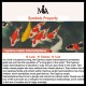 FengShui Koi White Jade Fortune Earrings