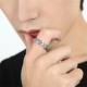 Tibetan Om Mani Padme Hum PiXiu Rotatable Luck Ring Tibetan Om Mani Padme Hum PiXiu Rotatable Luck Ring