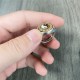 Yin Yang Chinese Zodiac Copper Wealth Ring Yin Yang Chinese Zodiac Copper Wealth Ring
