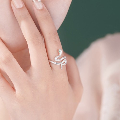 925 Silver Year of the Snake Calm Set