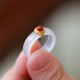 Agate Cyan Jade Protection Ring