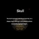 925 Sterling Silver Tibetan Skull Protection Ring 925 Sterling Silver Tibetan Skull Protection Ring