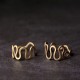 Brass Luck Wealth Adjustable Ring