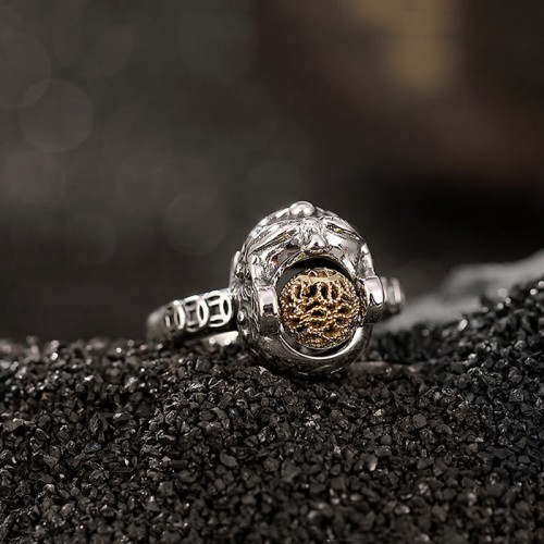 925 Silver PiXiu Copper Coin Wealth Ring