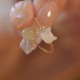 Tridacna Stone Cat Head Jade Blessing Ring Tridacna Stone Cat Head Jade Blessing Ring