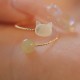 Tridacna Stone Cat Head Jade Blessing Ring Tridacna Stone Cat Head Jade Blessing Ring